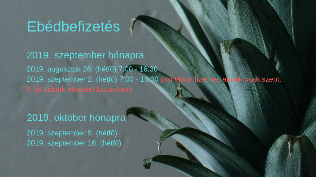 Ebédbefizetés 2019. szeptember és október hónapokra
